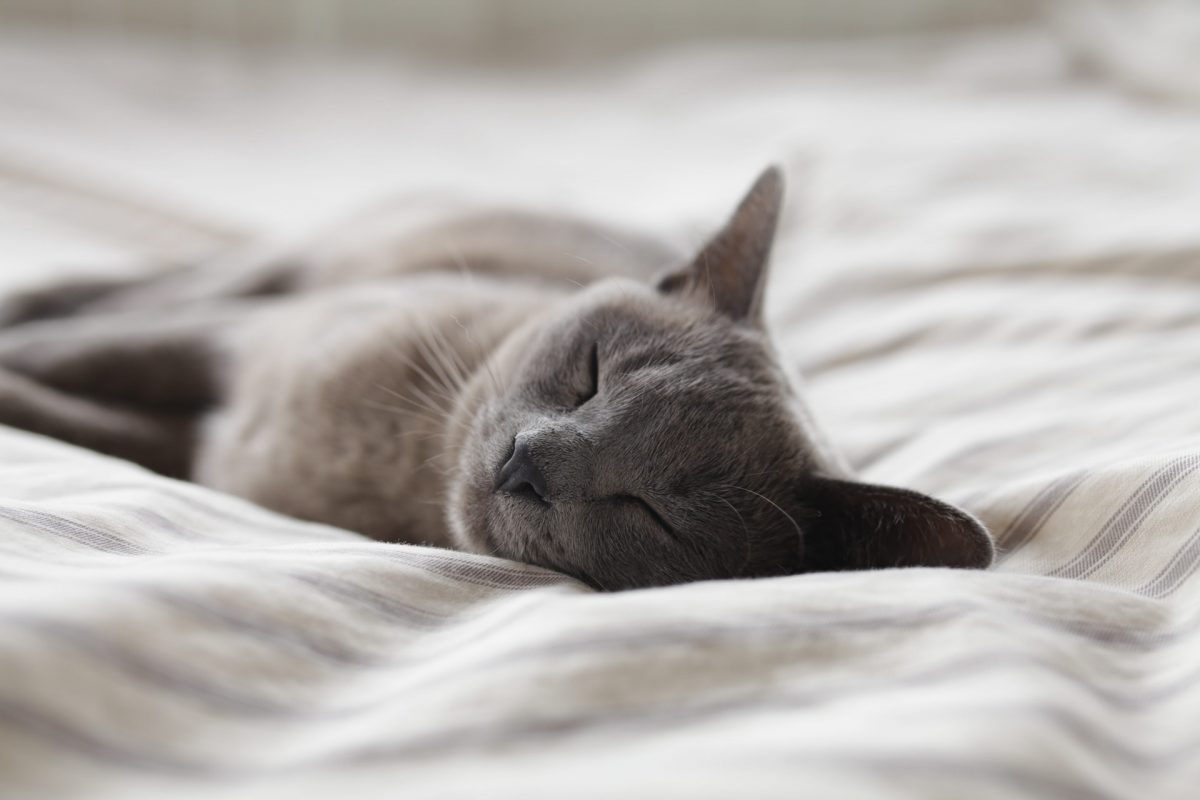 Optimer søvnen din med den riktige madrassen 